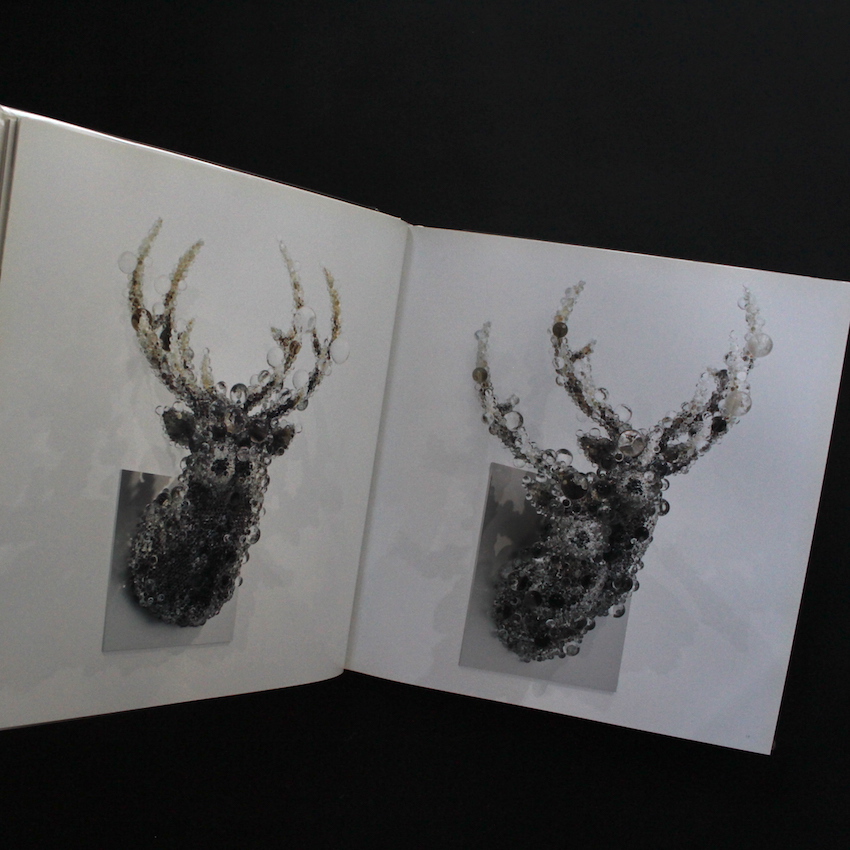 シンセシス / Synthesis - 名和 晃平 / Kohei Nawa