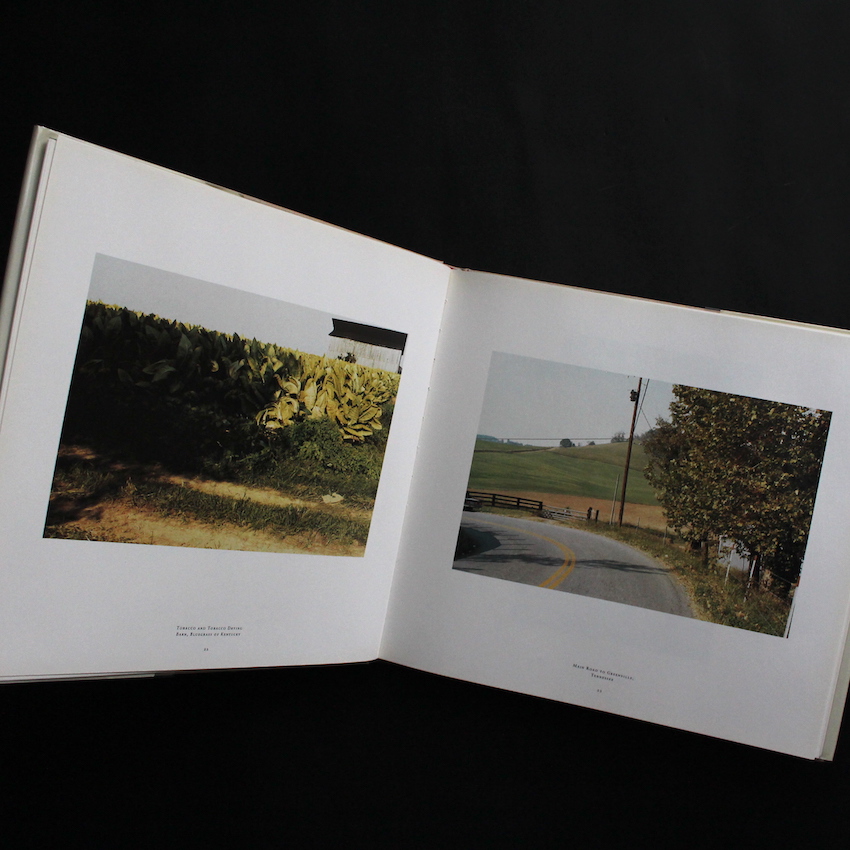 The Democratic Forest - William Eggleston