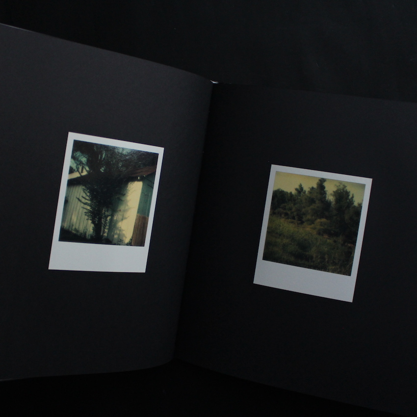 Polaroid SX-70 - William Eggleston