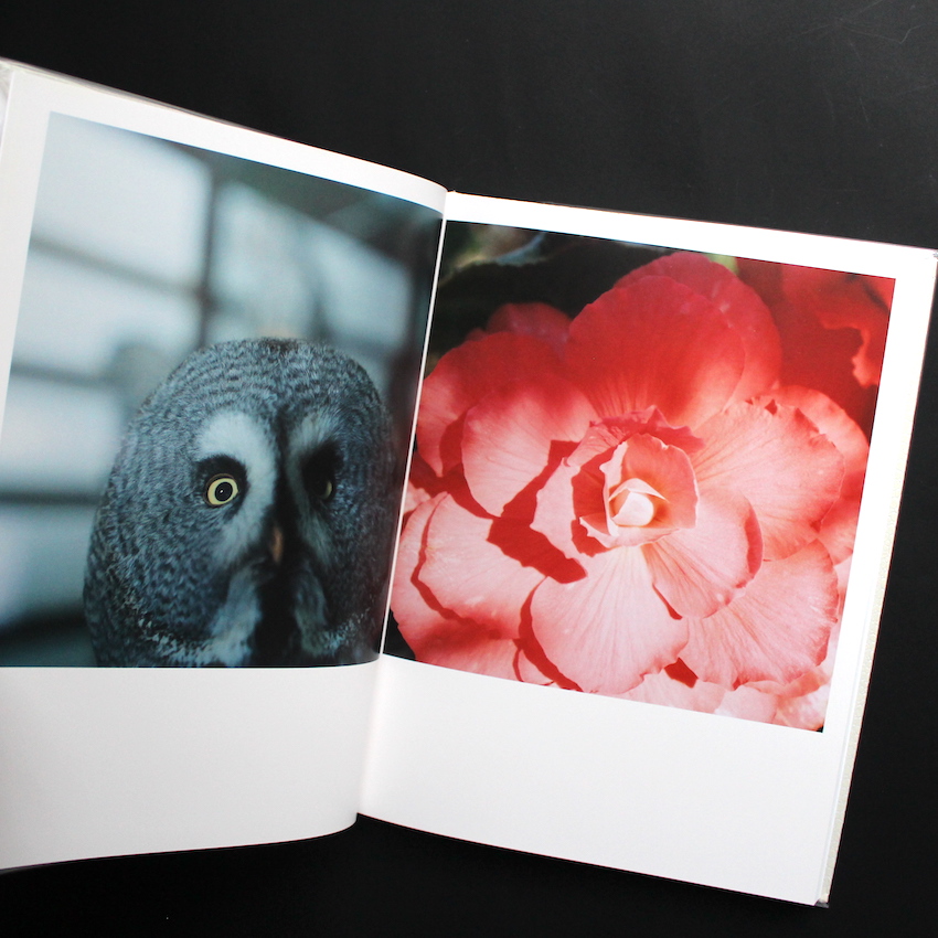 アイーラ / Aila（First Edition） - 川内 倫子 / Rinko Kawauchi