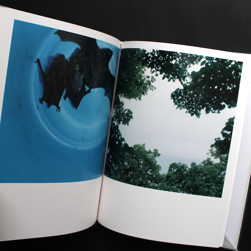 アイーラ / Aila（First Edition） - 川内 倫子 / Rinko Kawauchi