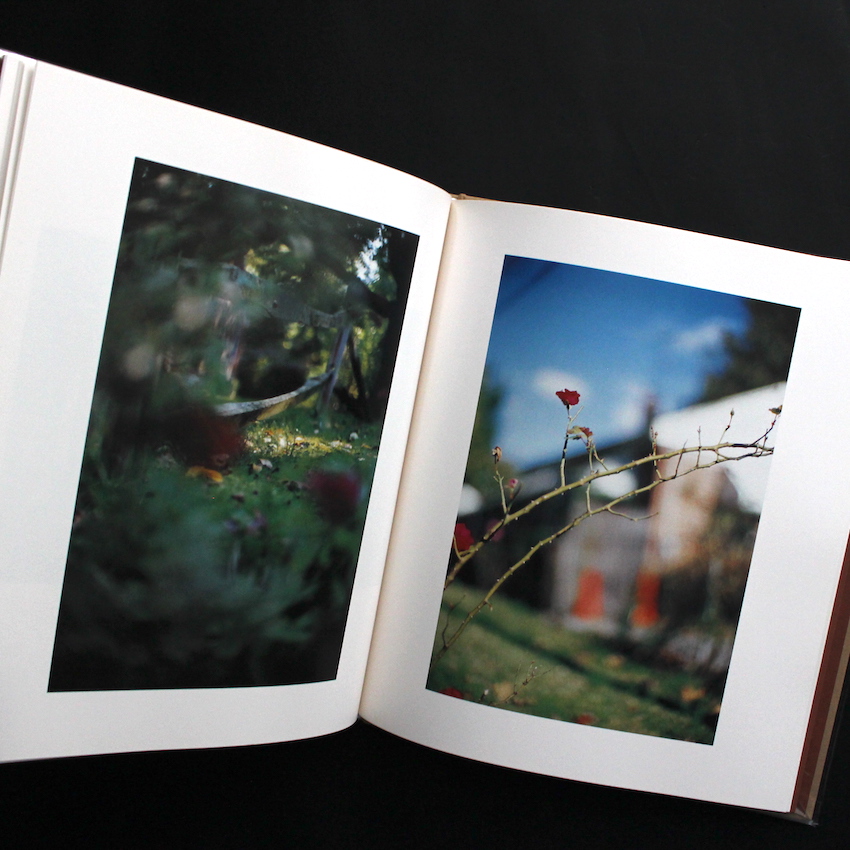 Between Maple and Chestnut - Terri Weifenbach