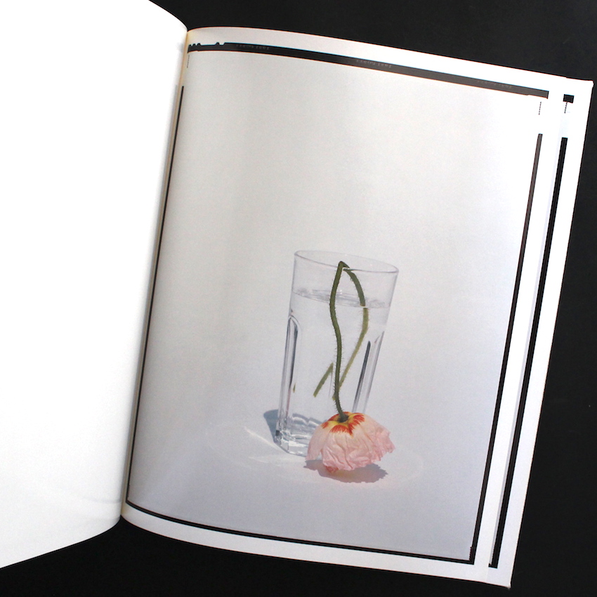 Flowers（With Case） - 上田 義彦 / Yoshihiko Ueda