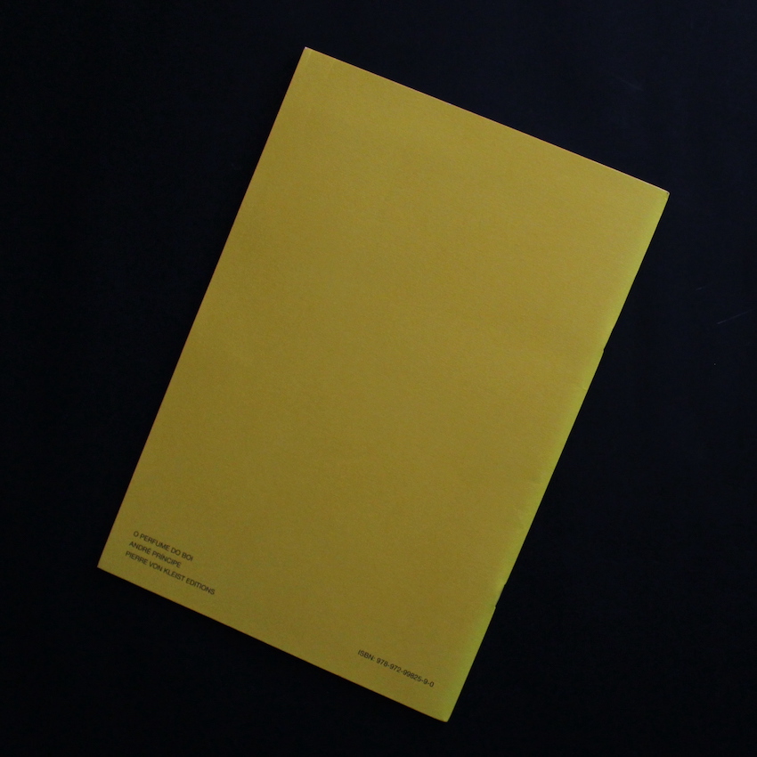 O Perfume Do Boi - Andre Principe