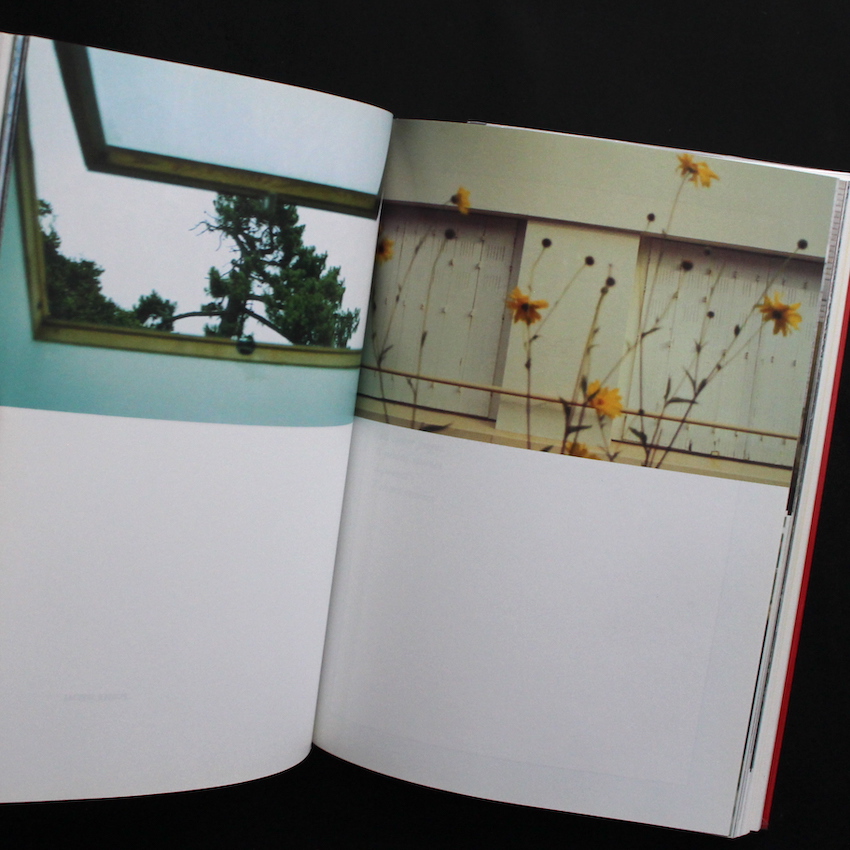 Purple Number Three Summer 1999