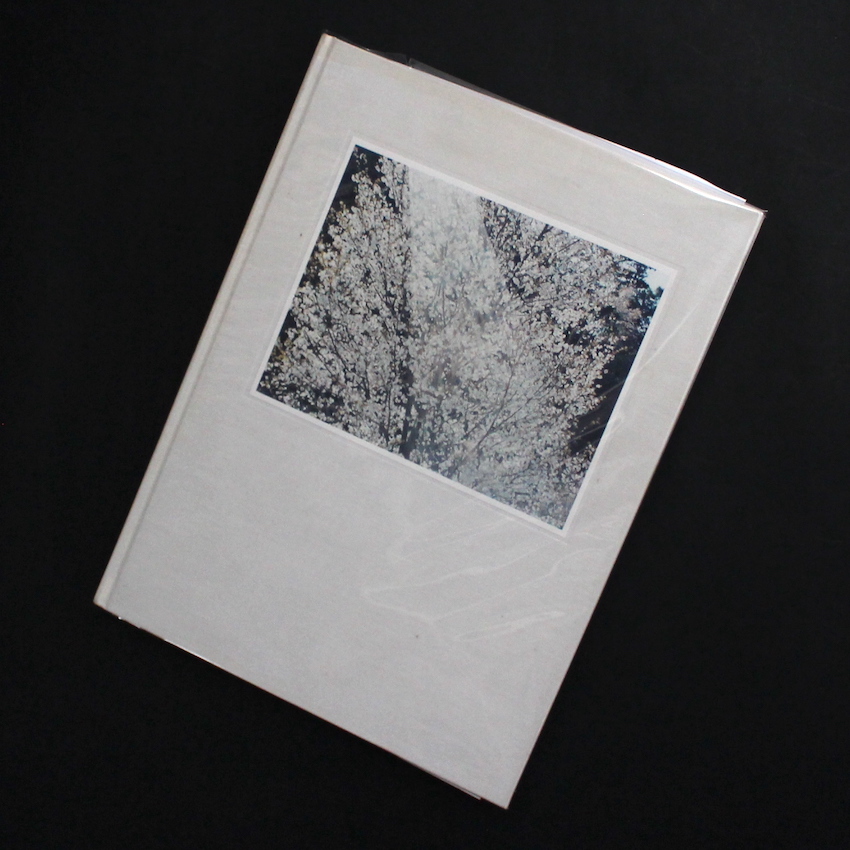 意識の流れ / Stream of Consciousness（White Cover） - 鈴木 理策