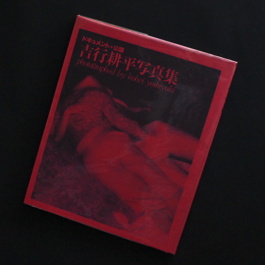 ドキュメント 公園 / Document Park（Revised Edition） - 吉行 耕平