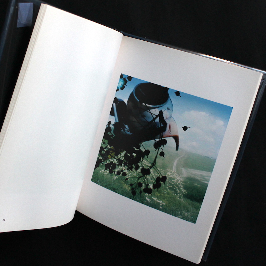 Outside In - Stephen Gill