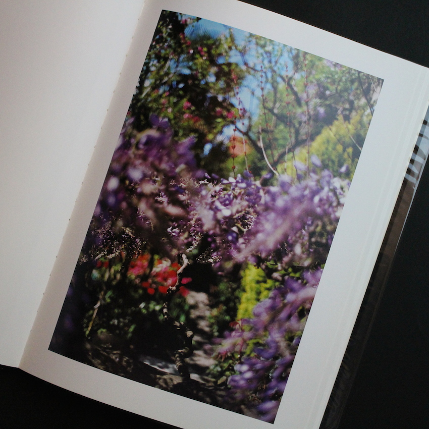 Lana - Terri Weifenbach