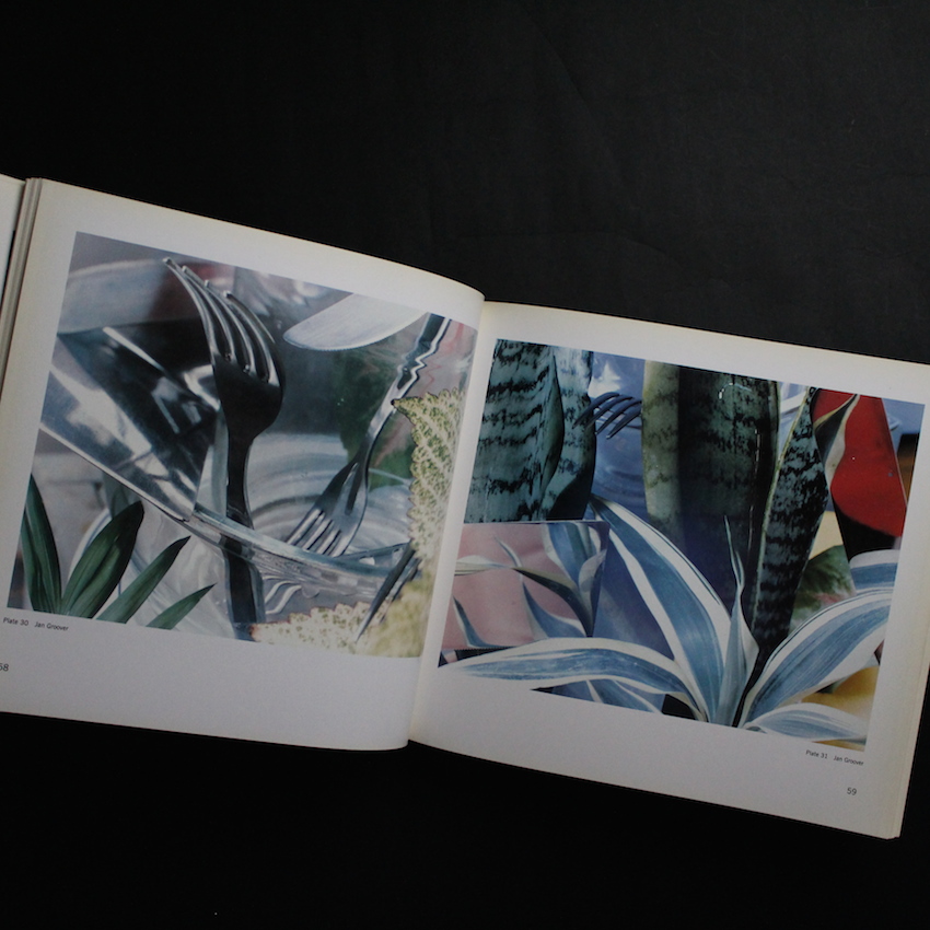 the new color photography - Sally Eauclaire