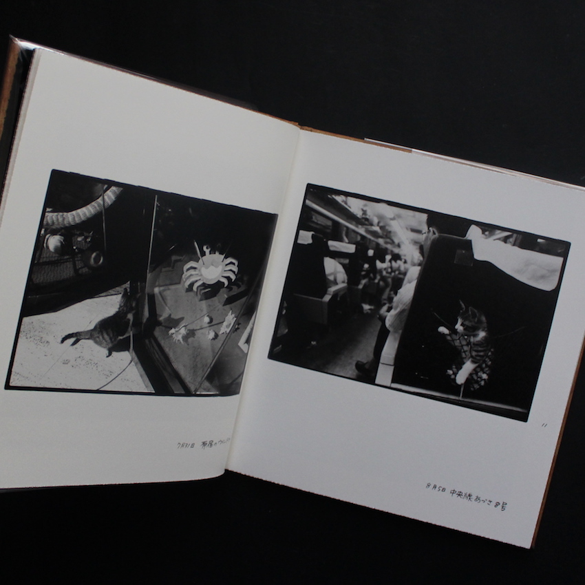Afterword（Second Edition） - 深瀬 昌久 / Masahisa Fukase