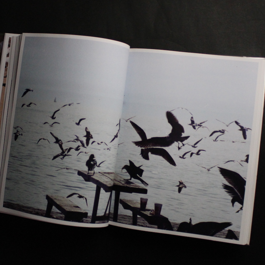 Purienne. - Henrik Purienne