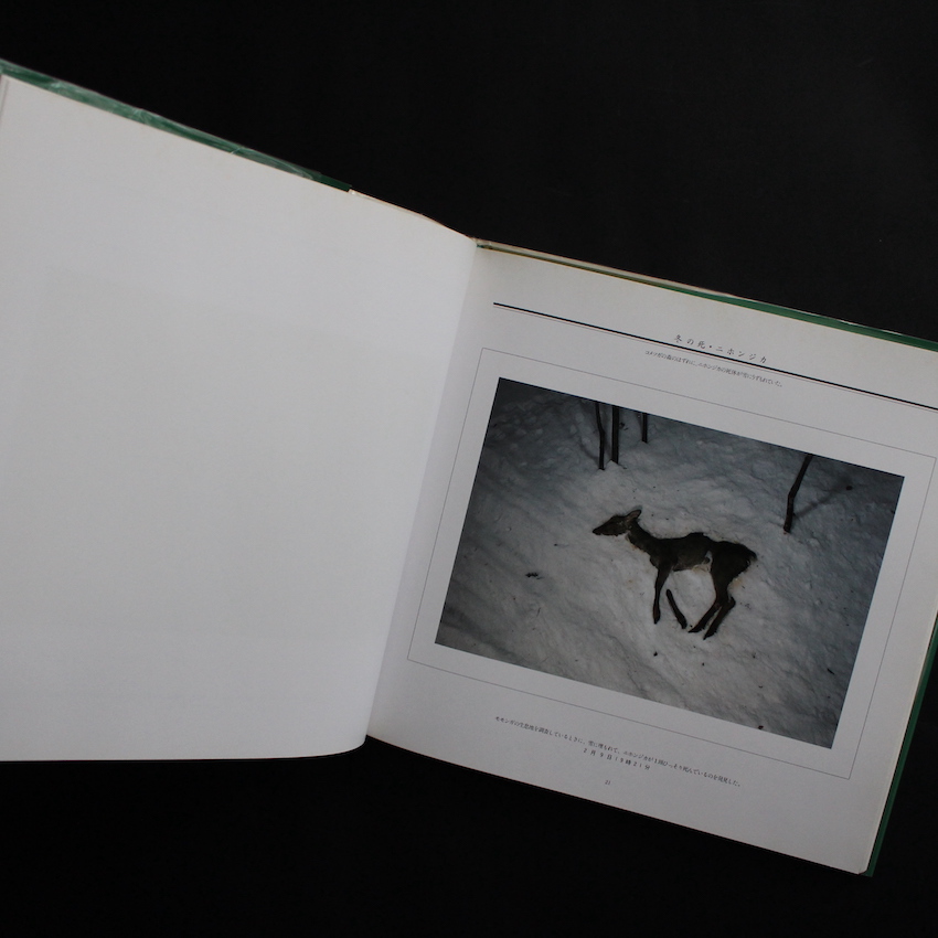 死 / Death in the Nature - 宮崎 学 / Manabu Miyazaki