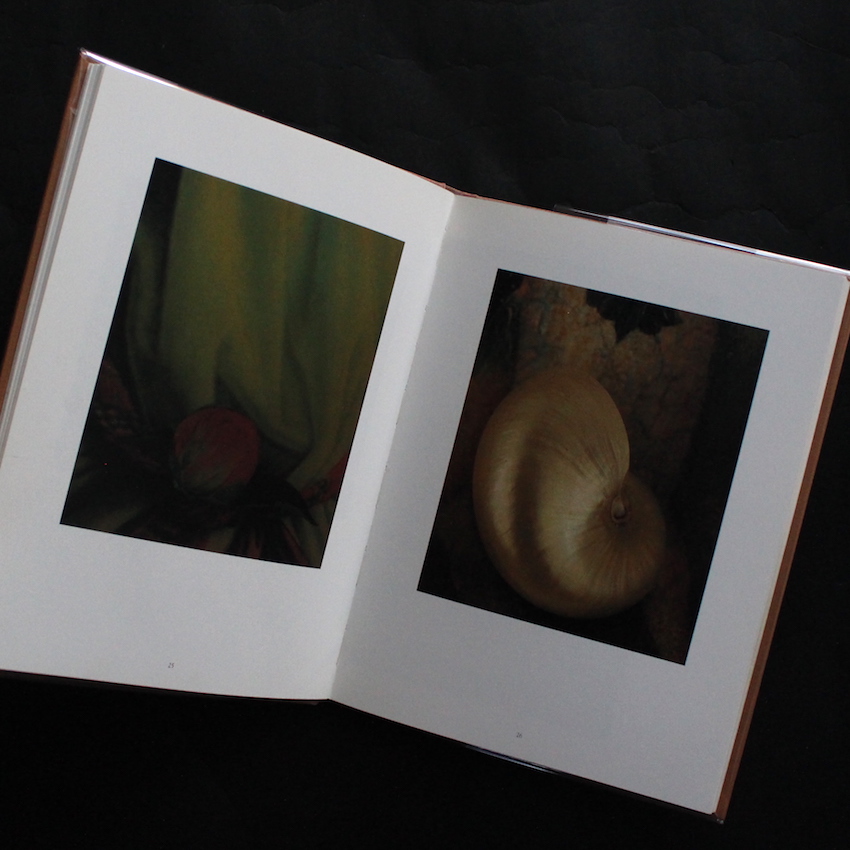 Yoshihiko Ueda Works 1985-1993 - 上田 義彦 / Yoshihiko Ueda