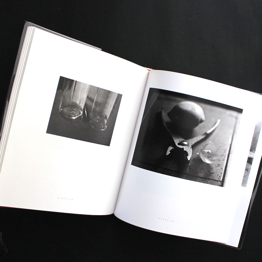 Jan Groover Photographs - Jan Groover