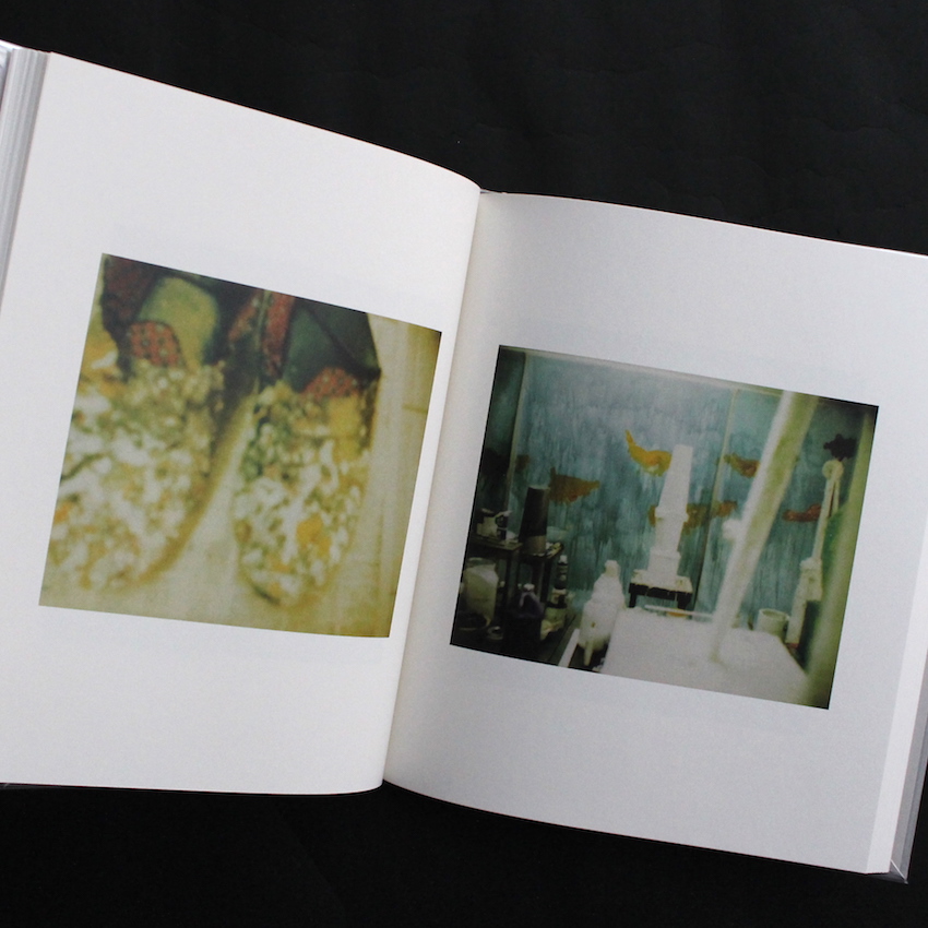 Cy Twombly Photographs Lyrical Variations - Cy Twombly