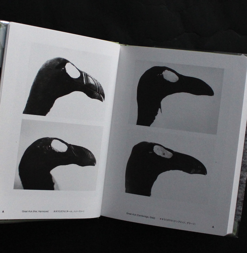 Jochen Lempert Field Guide - Jochen Lempert