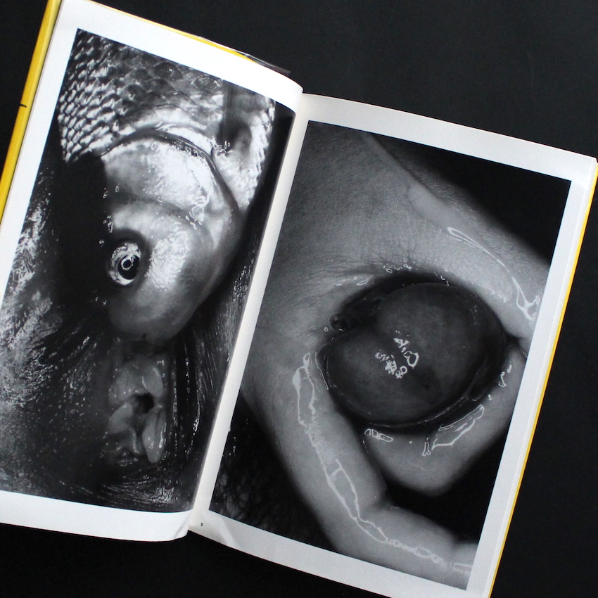 荒木経惟写真全集16 エロトス / Erotos - 荒木 経惟 / Nobuyoshi Araki