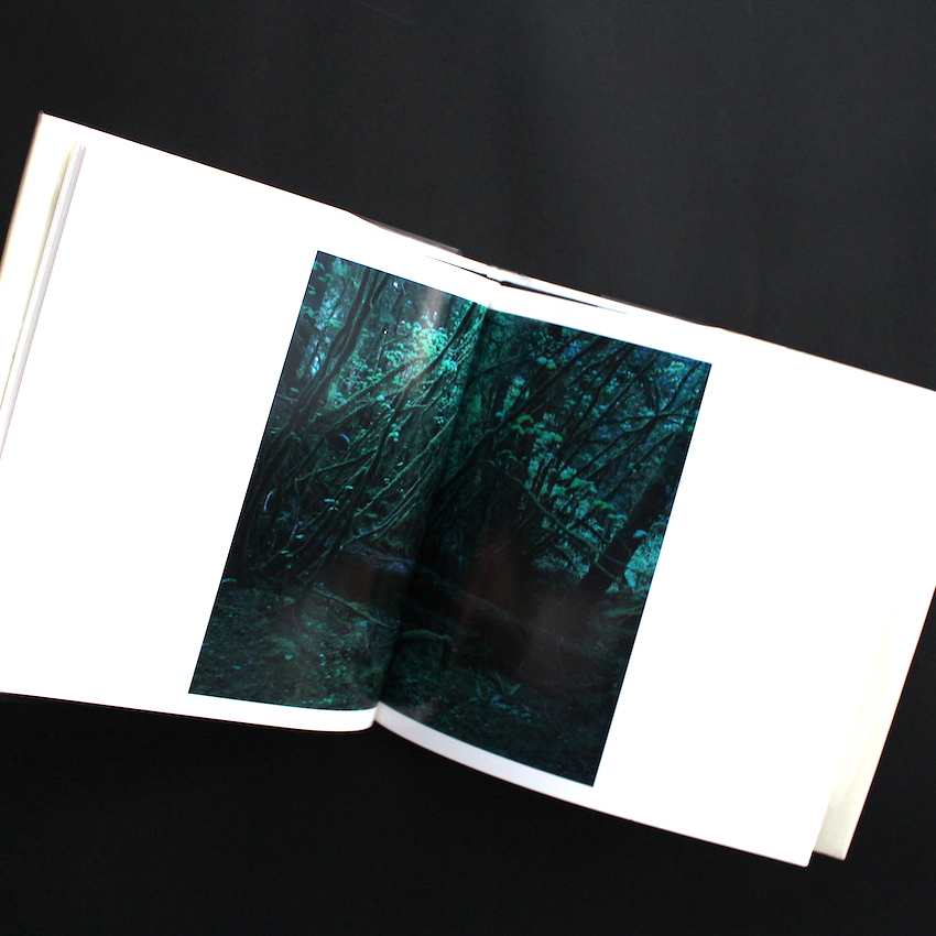 Visions of Japan（Japanese Version） - 上田 義彦 / Yoshihiko Ueda