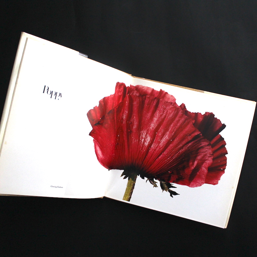 FLOWERS Irving Penn 初版 海外ライブラリー蔵書印等の難あり FLOWERS