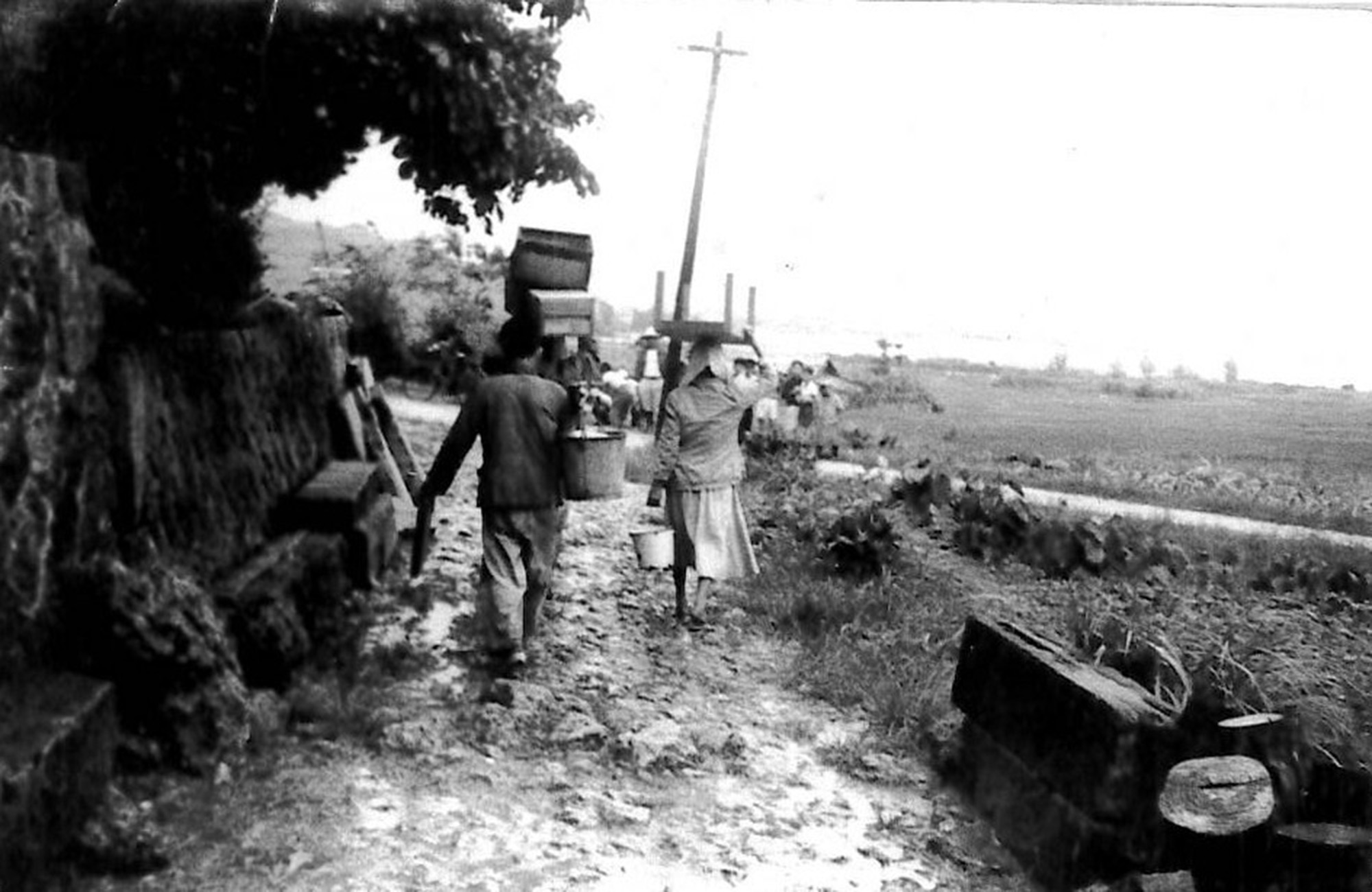綱引きをすると山が崩れる』。1959年、言い伝え通りに台風被害で崖崩れ
