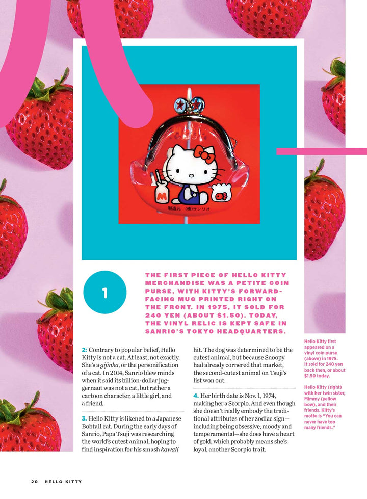 Hello Kitty - Ultimate Fan Guide: Designer Yuko Shimizu, Facts