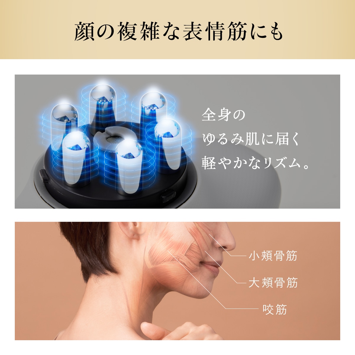 EMS Slim Esthe Plus | 健康 | WAVEWAVE