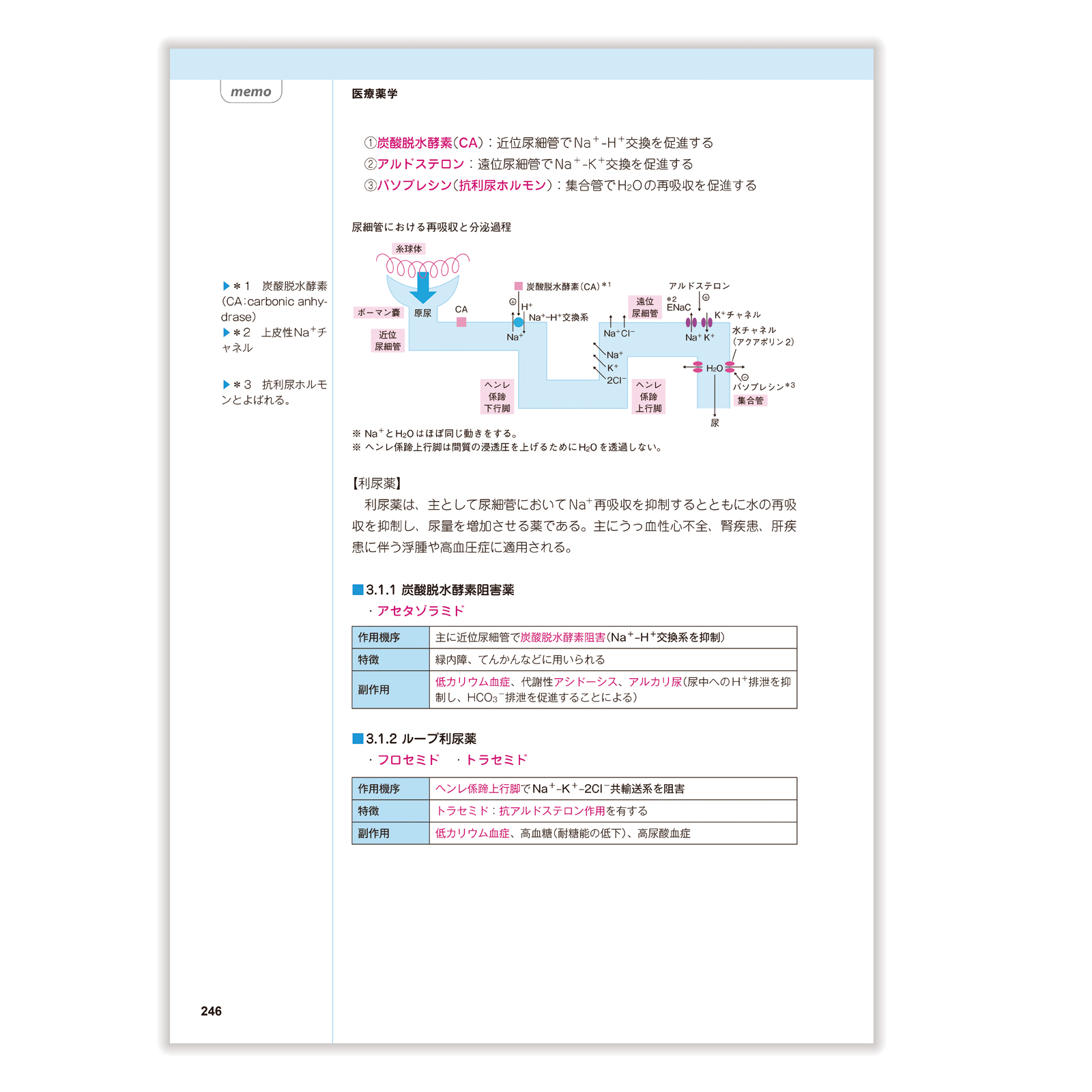 セットコアカリ重点ポイント集〔改訂第9版〕 【最新版】CBT対策[改訂