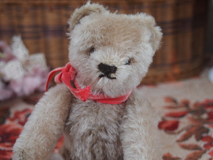 シュタイフ社 ビンテージ テディベア （赤リボン） VI506 | テディベア