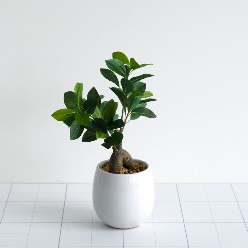 インテリアグリーン ガジュマル F370-PU513B/47L if homeの通販｜東京