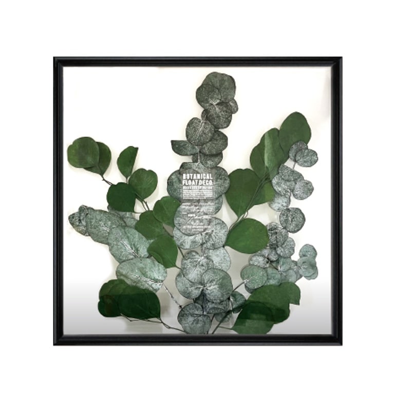 ボタニカルアート 126925 38x38 ブラックの通販｜東京インテリア公式通販