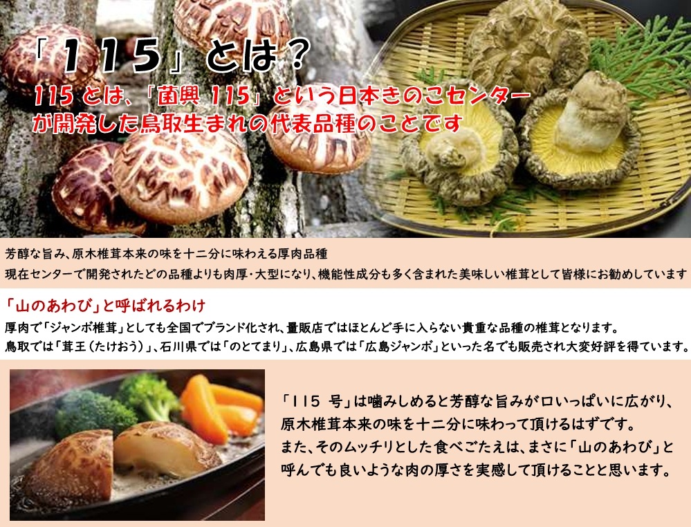 しいたけ種菌 菌興115号 駒菌（400駒）【きのこのお店 しいたけ本舗