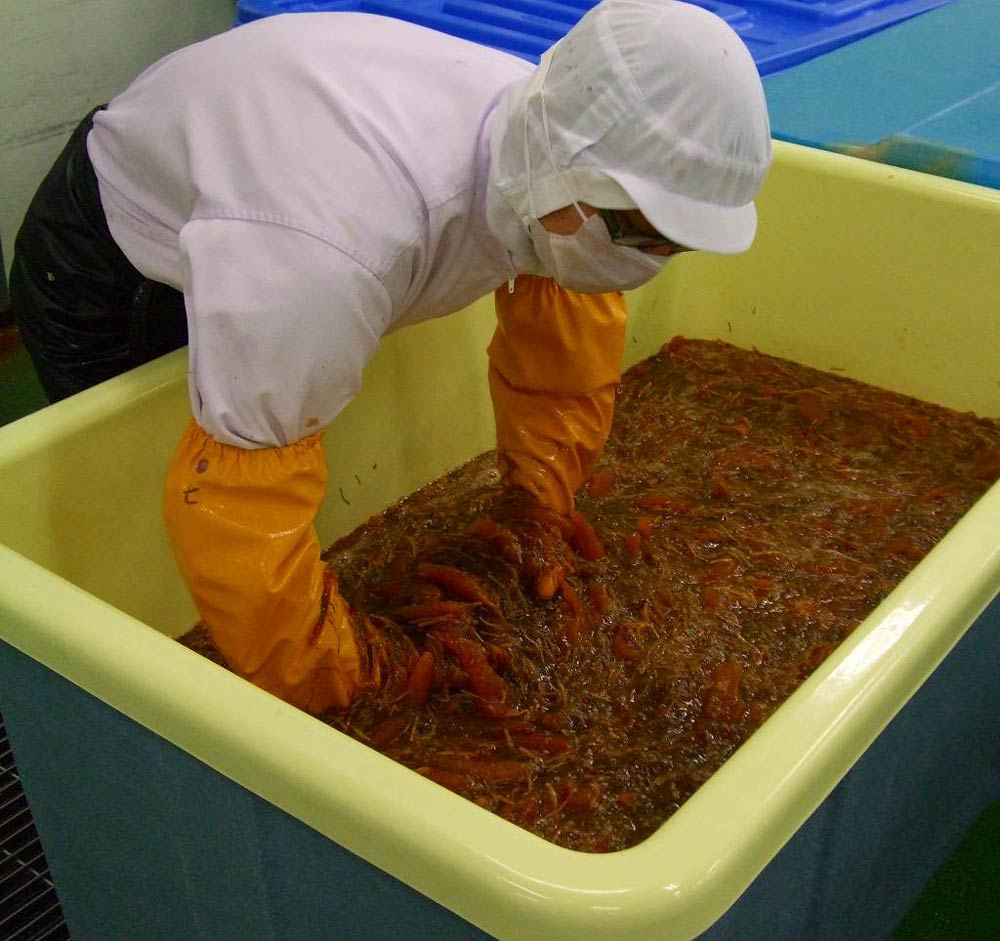 函館竹田食品 「数の子松前」と「数の子大王」セット（各500g×2種