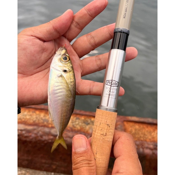 ROOSTER GEAR MARKET RGM SPEC. 1/300 C-COPPER [ルースターギア