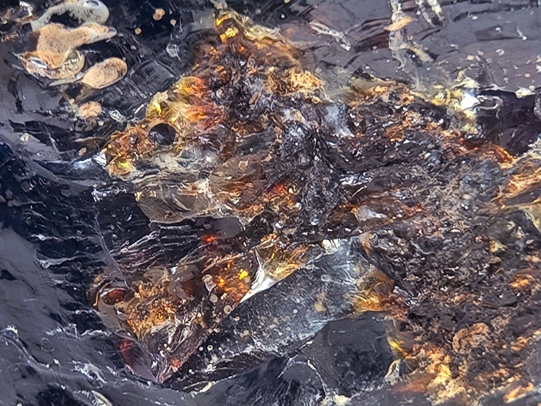 インドネシア・スマトラ産 ブルーアンバー ( 青琥珀 ) / BlueAmber