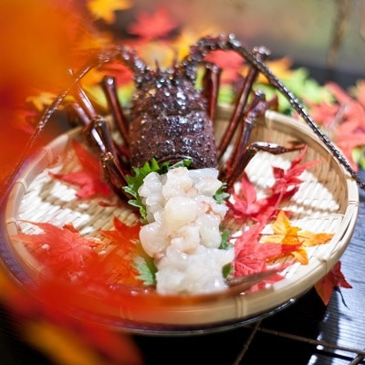 ウルトラ特大伊勢海老(900g-1.4kg) | 特大伊勢えび (1kg以上) | 活き