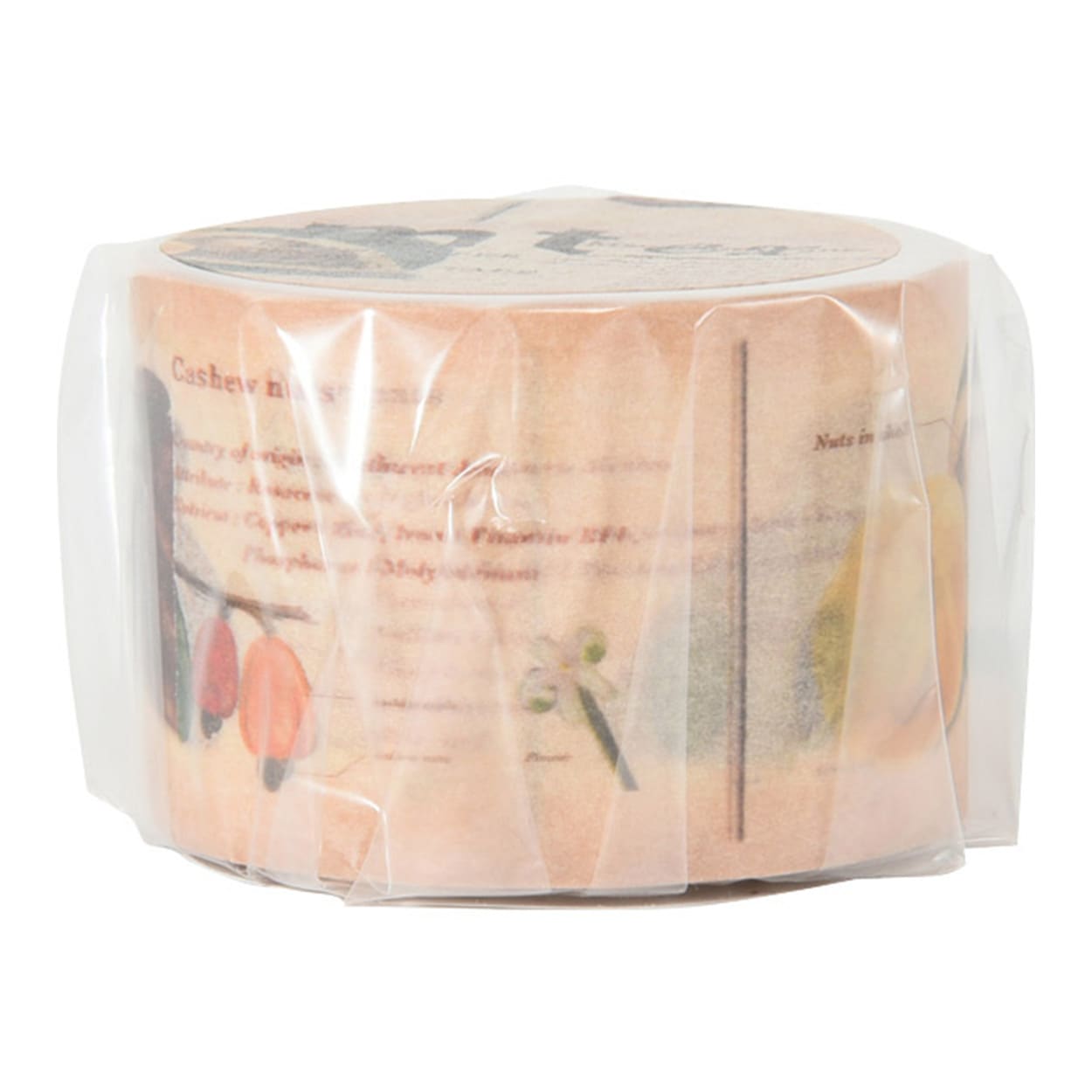 マスキングテープ 『mt ex 図鑑 ナッツ MTEX1P175 h1909』 画材・文具