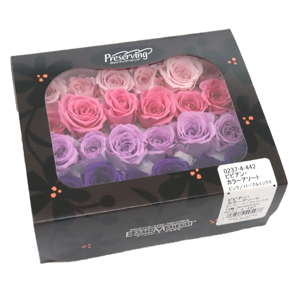 プリザーブドフラワー 『ビビアンカラーアソート ピンクパープル 02374