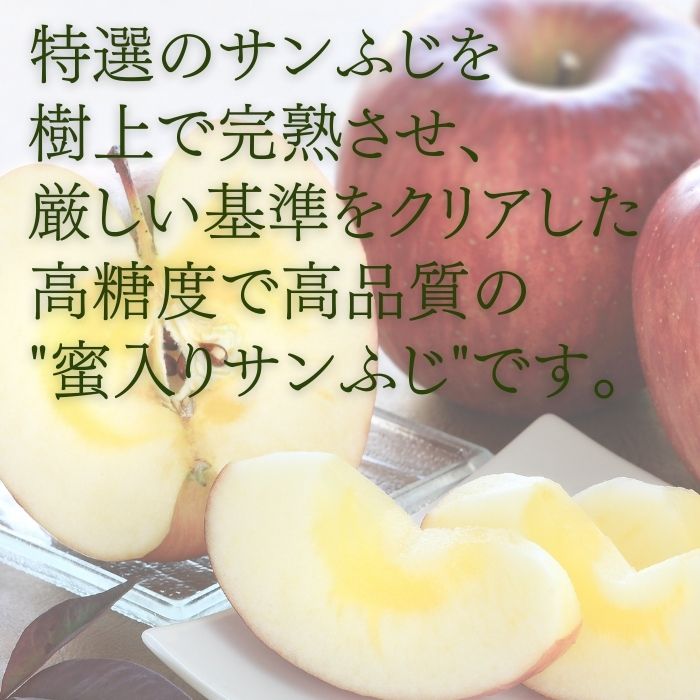 蜜入り特選【中玉】りんご サンふじ 約2.5kg(9～10玉) S338 11月下旬