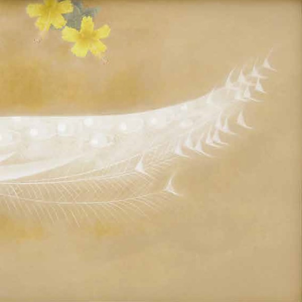 上村松篁 「白孔雀」＜額装＞｜エンディショップ【公式通販】