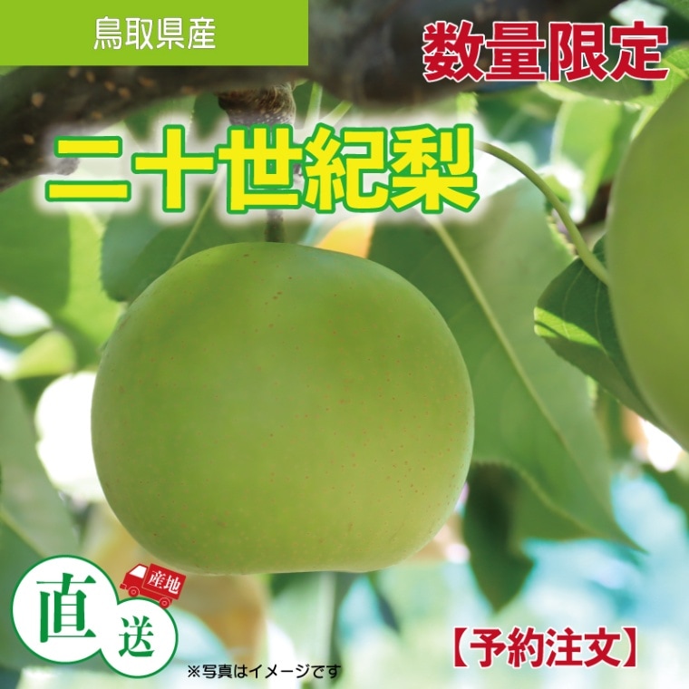 梨「二十世紀」【予約】｜産地直送 通販｜ふれあい村アスパル公式通販