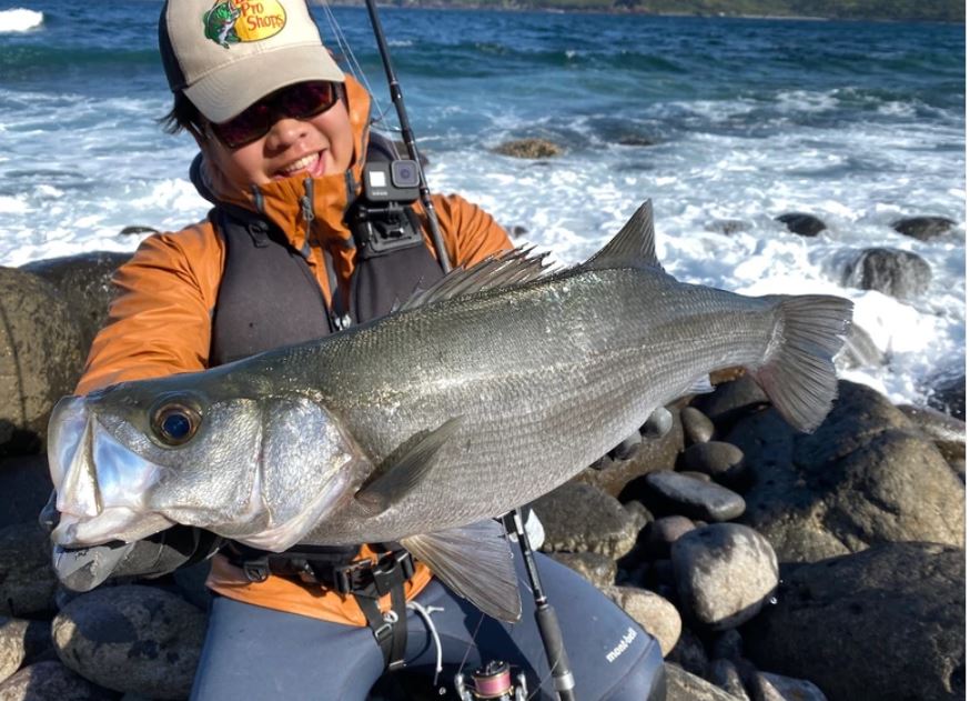 TRANSCENDENCE（トランスセンデンス）/エンピナード91S+Rev.2 | ロッド