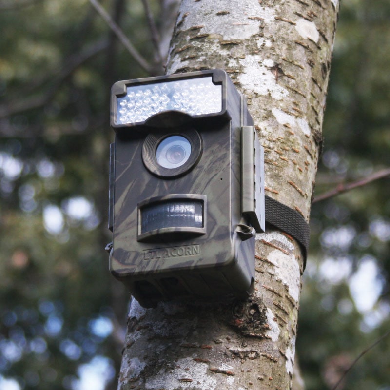 値下げ中！！】Ltl Acorn トレイルカメラ Ltl-6511MC/WMC 850/940NM