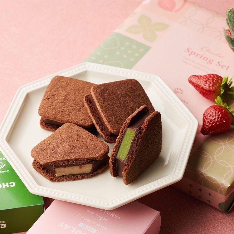 ショーコラ・スプリングセット4個入 VANILLABEANS公式オンラインショップ