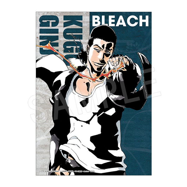 予約】BLEACH B3布ポスター 銀城 空吾 | は行,BLEACH | Chugaionline