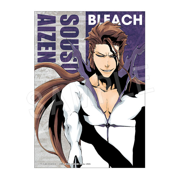予約】BLEACH B3布ポスター 藍染 惣右介 | は行,BLEACH | Chugaionline