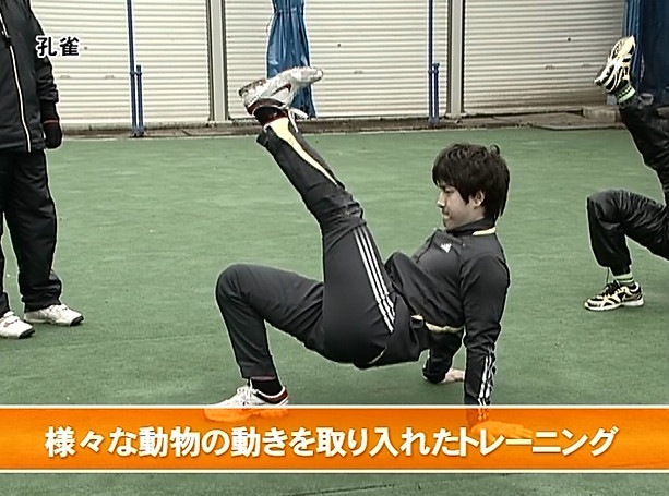 DVDクリーチャートレーニング