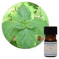 クイーンメリー】ローズオットー｜エッセンシャルオイル（精油・アロマ