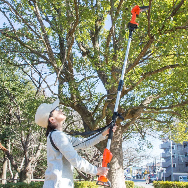 ファミラ NEW充電式コードレス2WAY高枝チェーンソー8点セット 予備