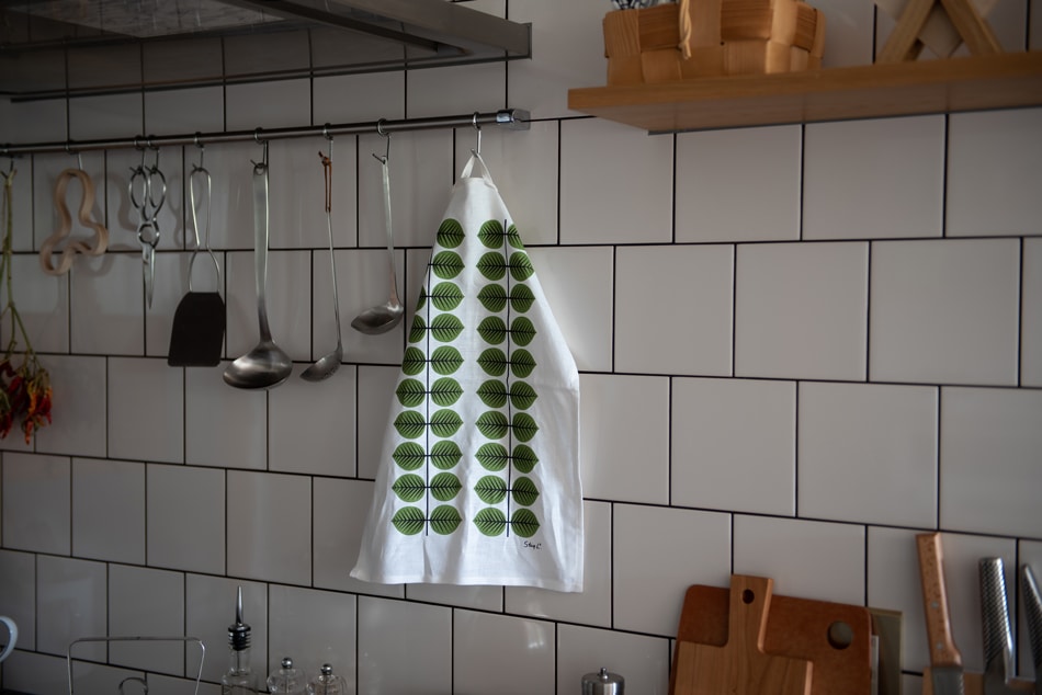 世*亀様 HILLEBERG Saitaris グリーン 美品！ ﾋﾙﾊﾞｰｸﾞ ﾃﾝﾄ ｻｲﾀﾘｽ GN